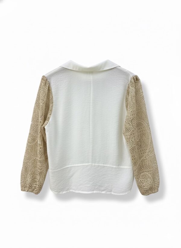 IMG_0749 Blusa Camisera con Apliques